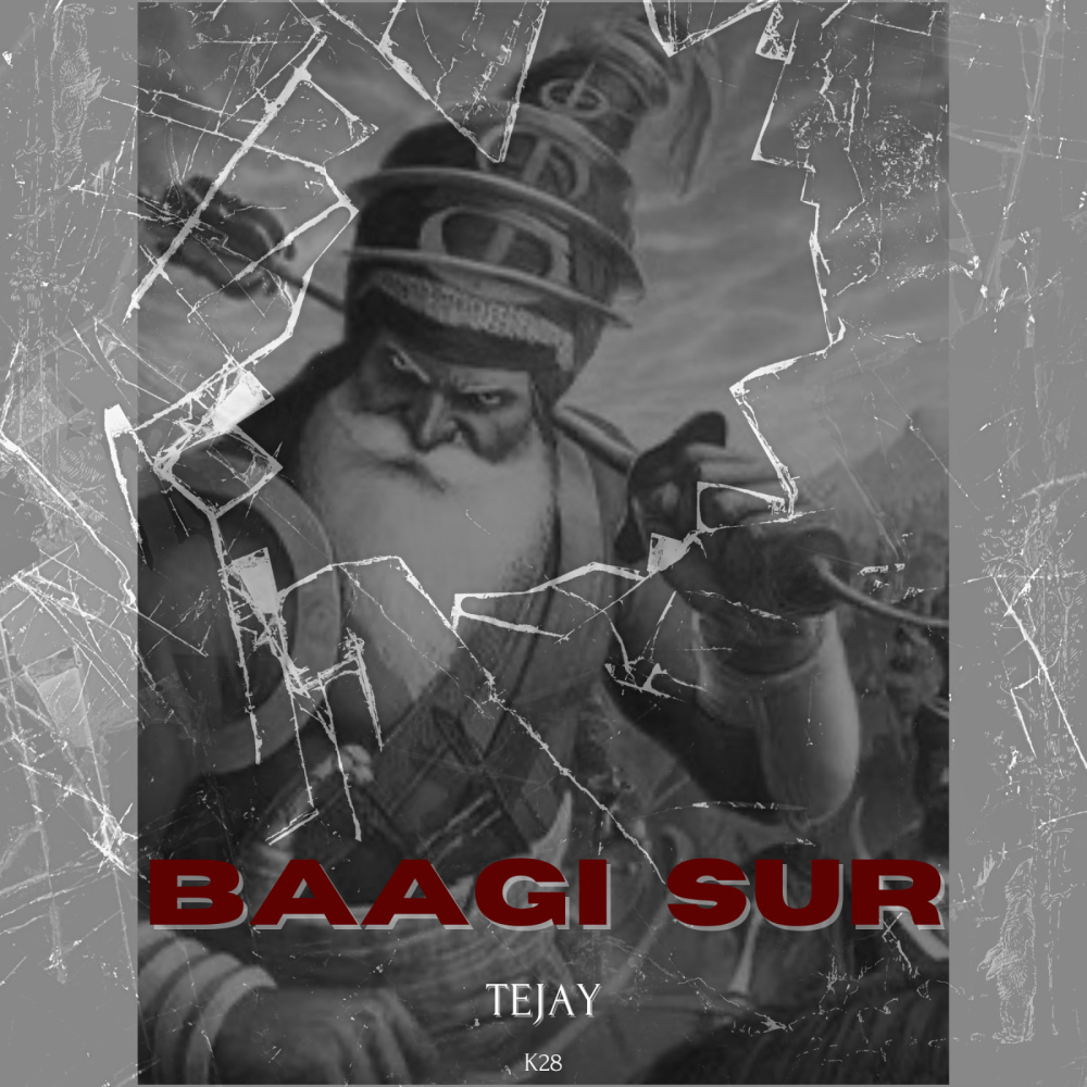 Baagi Sur