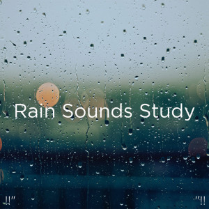 收聽Meditation Rain Sounds的Rain Sound歌詞歌曲