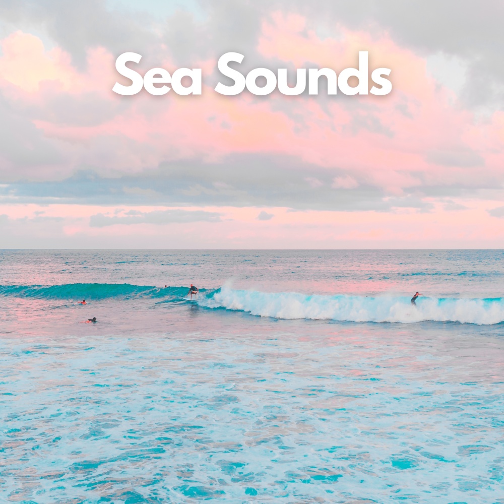 Seashell Sanctuary (Ocean and Sea Sounds for Relaxation)