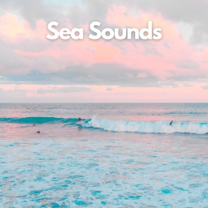 Sea Waves Sounds的专辑Gentle Sea Waves Sounds for Deep Rest