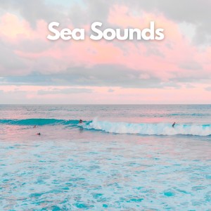 收聽Sea Waves Sounds的Mermaid's Whisper (Ocean and Sea Sounds for Relaxation)歌詞歌曲