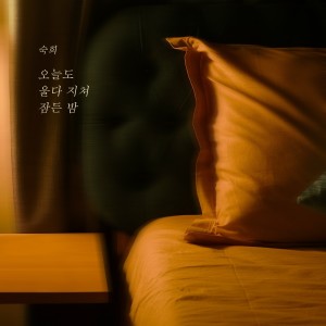 Listen to 오늘도 울다 지쳐 잠든 밤 (The night I cried and fell asleep) (Inst.) song with lyrics from 淑熙