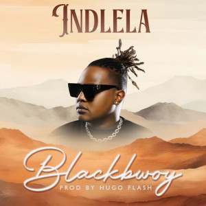 Album Indlela from Director Cube