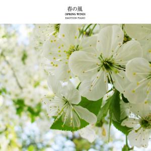 Listen to Windy Piano song with lyrics from Inoue Yuichi (이노우에 유이치)