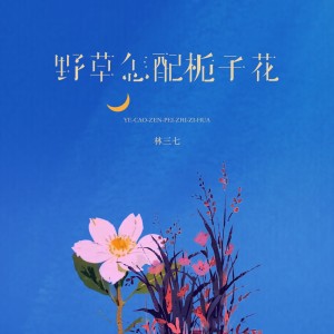 收聽林三七的野草怎配梔子花歌詞歌曲