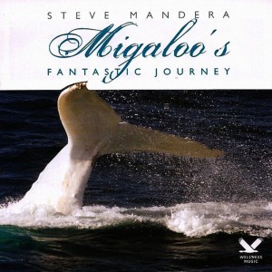 ดาวน์โหลดและฟังเพลง The Human Race พร้อมเนื้อเพลงจาก Steve Mandera