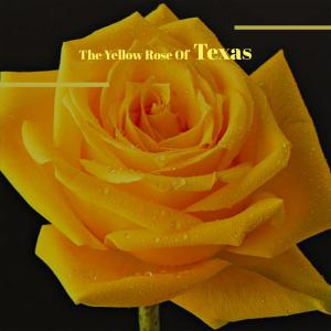 Listen to Garden In The Sky song with lyrics from Blue Sky Boys
