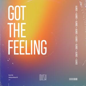 Listen to Got The Feeling (Extended Mix) song with lyrics from Alande