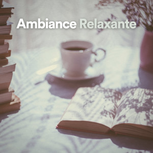 Album Ambiance relaxante from Zen Méditation Ambiance