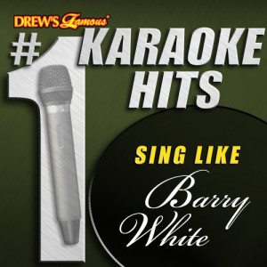 收聽Karaoke的Never, Never Gonna Give You Up (As Made Famous By Barry White)歌詞歌曲