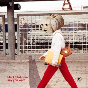 ดาวน์โหลดและฟังเพลง Say You Want พร้อมเนื้อเพลงจาก Black Bird Hum