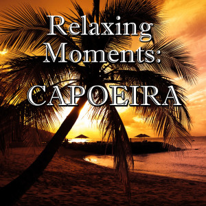 ดาวน์โหลดและฟังเพลง Capoeira พร้อมเนื้อเพลงจาก Nervous