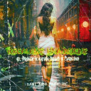 收聽DarKing Official的Regálame una noche (feat. El Prince & Kevin Yesid) (Explicit)歌詞歌曲