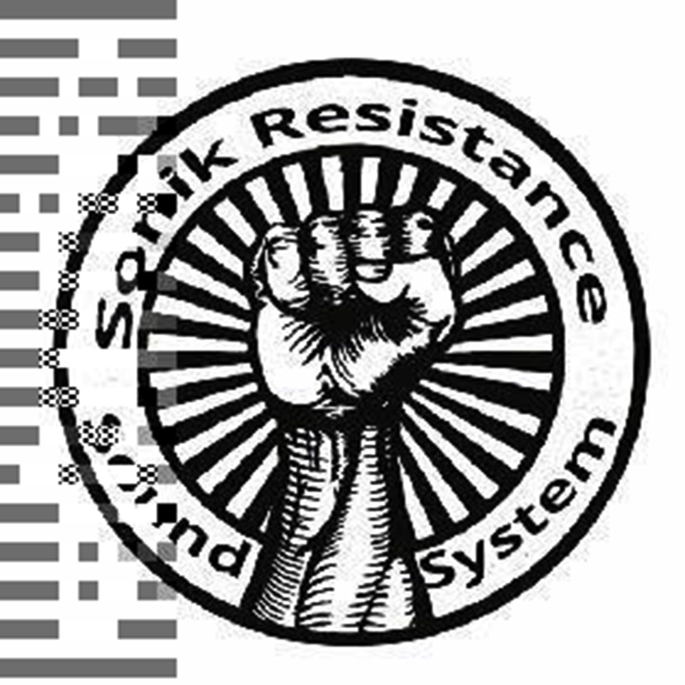Sonic Resistance
