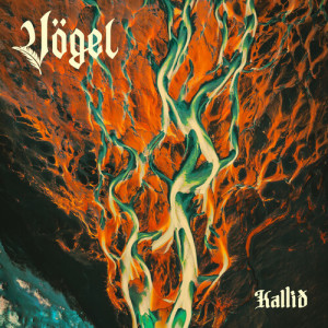 Kallið dari Vogel