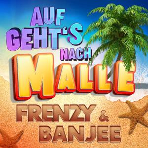 Listen to Auf geht’s nach Malle (Sarà perché ti amo) song with lyrics from Group Star