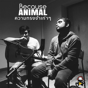 Album ความทรงจำเก่าๆ from Because Animal