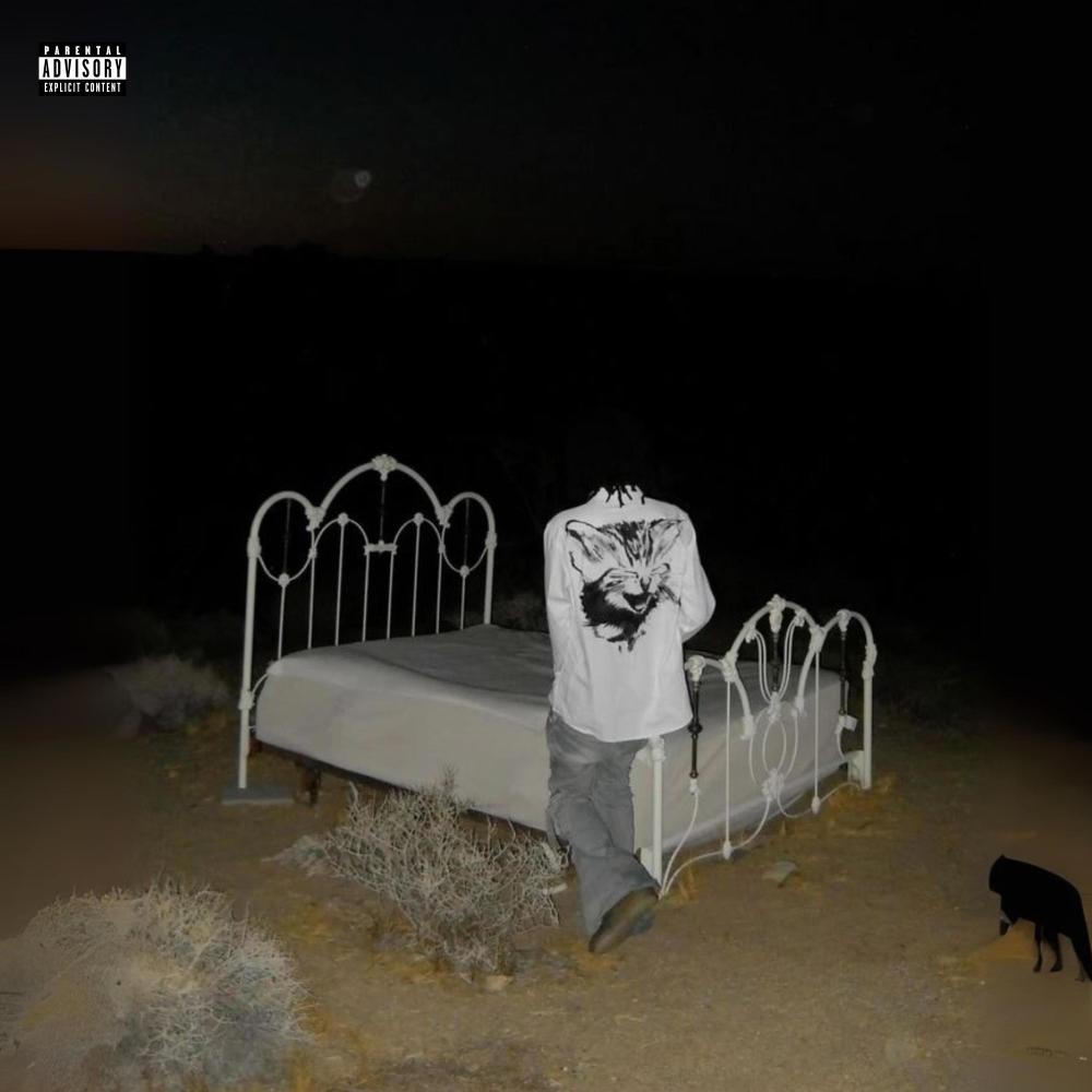 ain't never seen (feat. Protect) (Explicit)