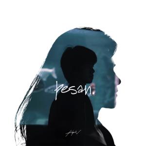 Listen to Pesan song with lyrics from Kafin Sulthan