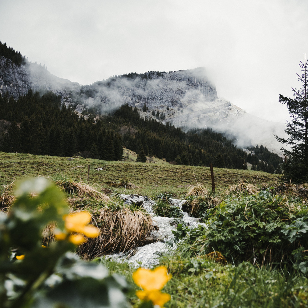 Soft Rain & Wind