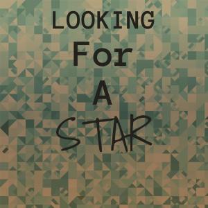 收聽Shelley Fabares的Looking For A Star歌詞歌曲