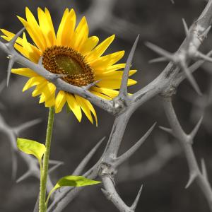 Dengarkan lagu beyond (feat. SIX KAY) nyanyian reprieved dengan lirik