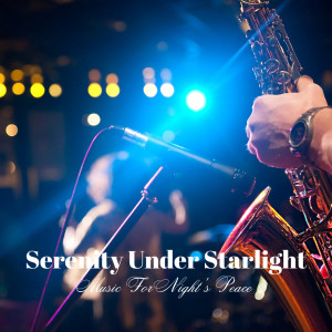 Album Serenity Under Starlight: Music For Night's Peace from Regain Peace Of Mind