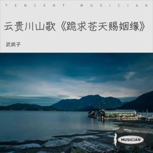 Listen to 云贵川山歌《跪求苍天赐姻缘》 (完整版) song with lyrics from 武疯子