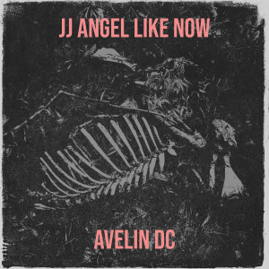 Album JJ Angel Like Now from Avelin Dc