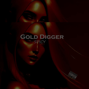 Dengarkan lagu Gold Digger (Explicit) nyanyian Spicy dengan lirik