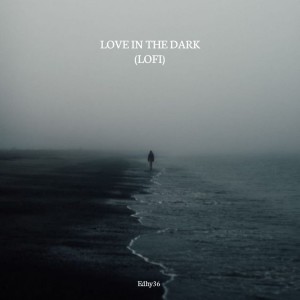 ดาวน์โหลดและฟังเพลง love in the dark (Lofi) พร้อมเนื้อเพลงจาก Edhy36