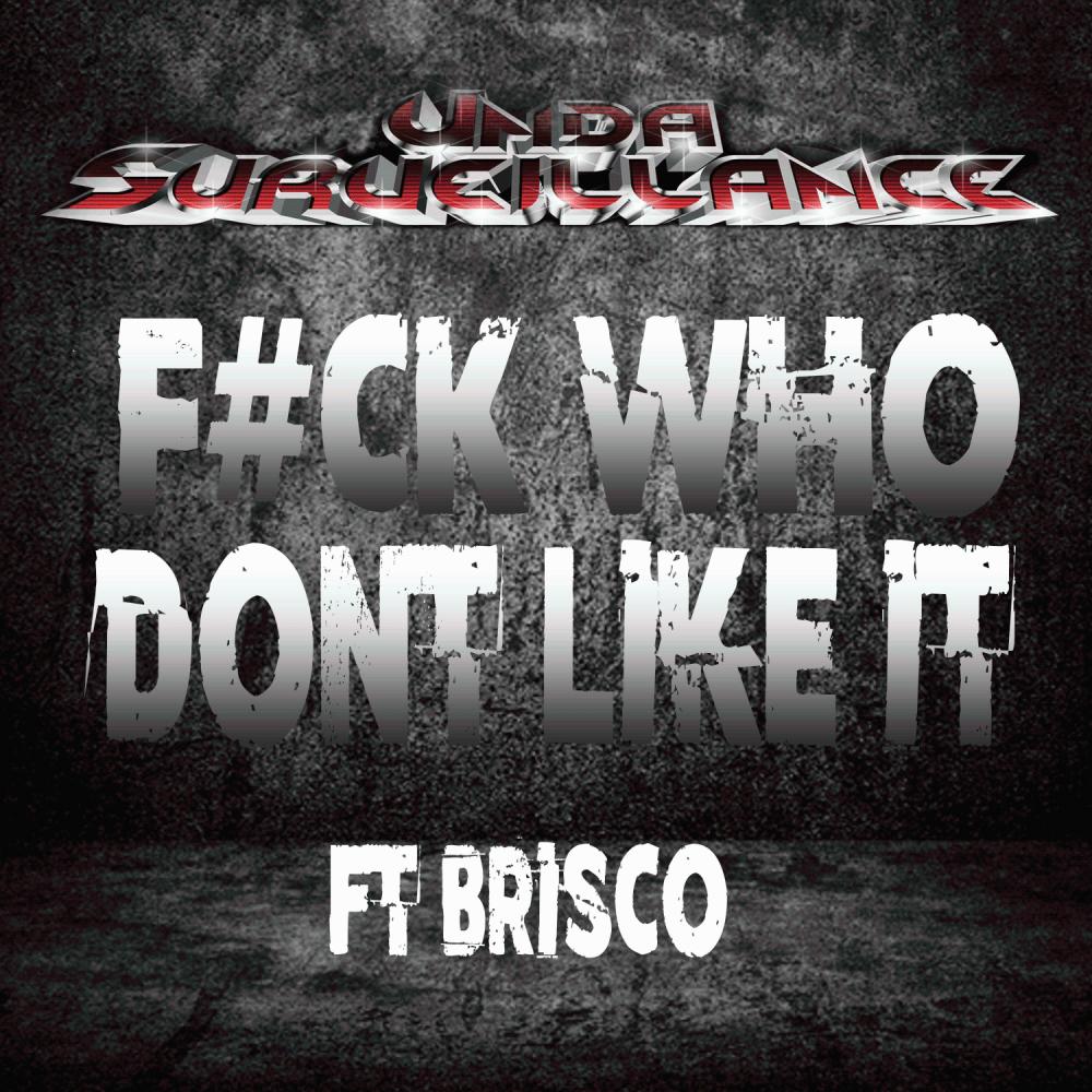 F#CK WHO DONT LIKE IT (feat. Brisco) (Explicit)