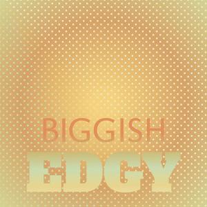 Various Artists的專輯Biggish Edgy