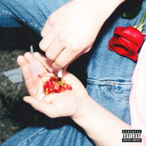 ดาวน์โหลดและฟังเพลง Tasche (Explicit) พร้อมเนื้อเพลงจาก Suaje