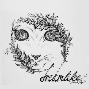 Listen to Dreamlike song with lyrics from 사라플라이(SarahFly)