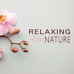 ดาวน์โหลดและฟังเพลง Forest Streams พร้อมเนื้อเพลงจาก Relaxing Nature