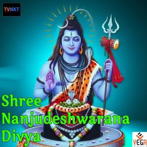 Album Shree Nanjudeshwarana Divya Kshtra from Praveen.D.Rao