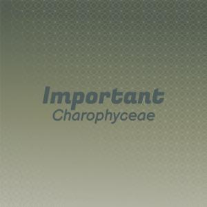 Album Important Charophyceae oleh Various
