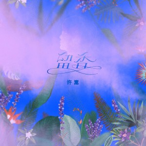 Album 留香 from Vae (许嵩)