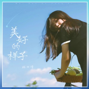 Listen to 美好的样子 (完整版) song with lyrics from 林雨晴