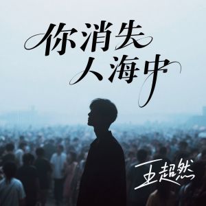Album 你消失人海中 from 王超然