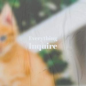 ดาวน์โหลดและฟังเพลง Everything Inquire พร้อมเนื้อเพลงจาก Huis Schin