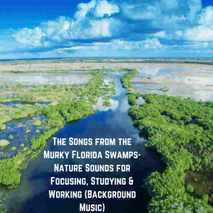 Natural Sounds Selections的专辑The Songs from the Murky Florida Swamps- Nature Sounds for Focusing, Studying & Working (Background Music)
