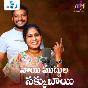 Listen to Nayi Muddula Sakkubai song with lyrics from Ramsagar Laxman