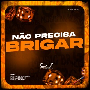 Listen to Não Precisa Brigar (Explicit) song with lyrics from Dj Durval