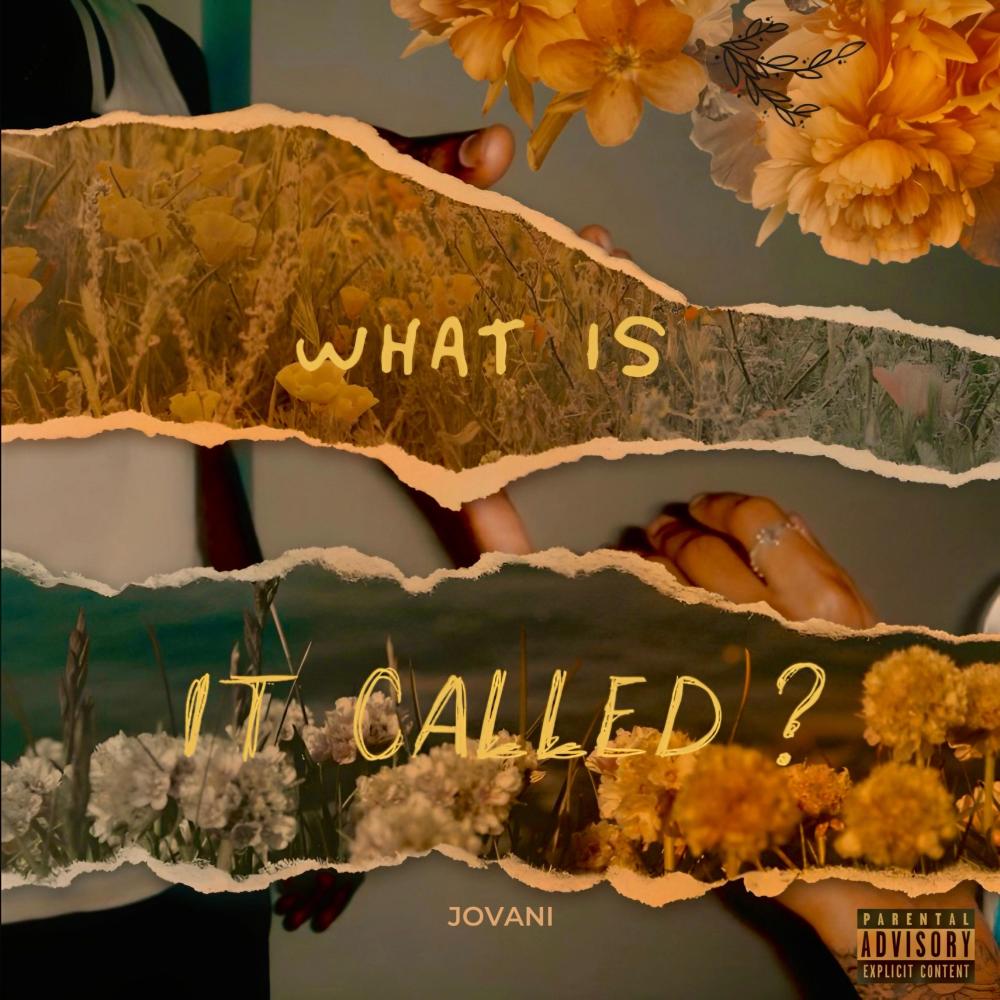WHAT IS IT CALLED ? (Explicit)