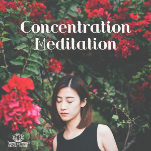 Dengarkan lagu Peaceful Meditation nyanyian Meditation Music Zone dengan lirik