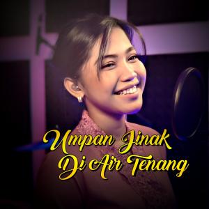 Listen to Umpan Jinak Di Air Tenang song with lyrics from Amira Syahira