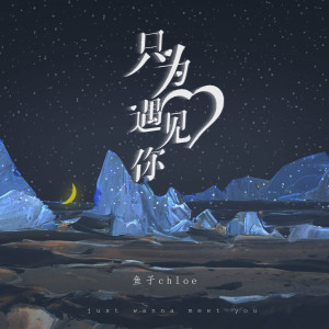 Listen to 只为遇见你 (伴奏) song with lyrics from 鱼子chloe