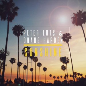 收聽Peter Luts的Sunshine (Radio Edit)歌詞歌曲